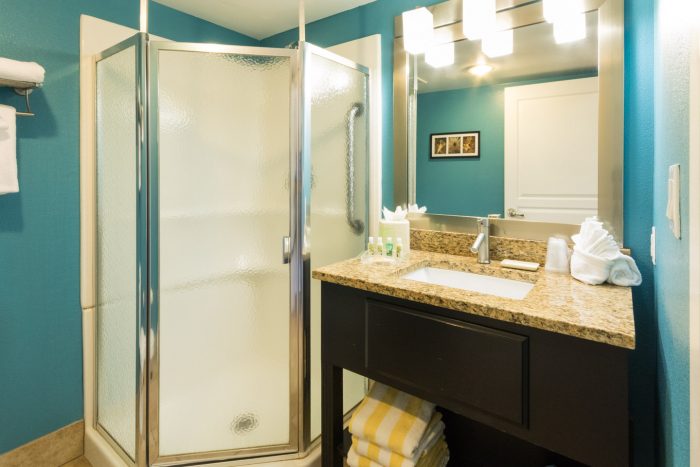 Holiday Inn Resort Daytona Beach Ocean View Bathroom