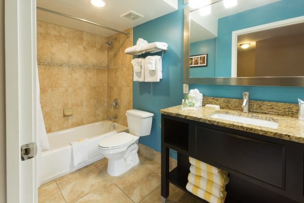 Holiday Inn Resort Daytona Beach Standard Guestroom Vanity